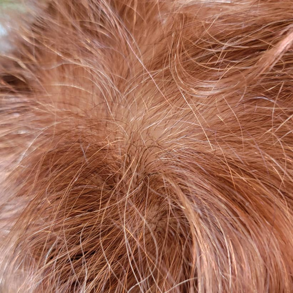 Mannequin Head Hairdressing Cosmetology 100% Human Hair Practice Training Doll - Picture 5 of 7